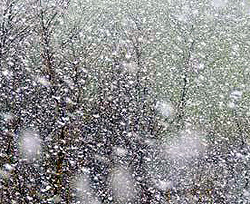 В Сочельник практически по всей Украине выпадет снег  