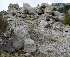 На юге Крыма случился камнепад  