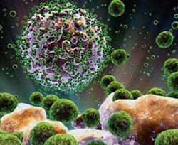 Выявлен новый вирус, который провоцирует СПИД   