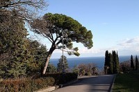 Экс-сотрудник донецкой прокуратуры стал директором Южнобережных парков 