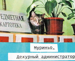 Кошка Стеша - библиотечный администратор 