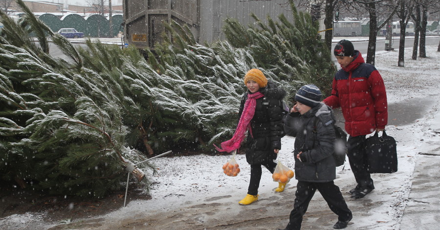 В Киеве в свои права вступила зима