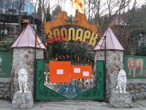Брошенных в Северо-Донецке зверей хотят забрать в Ялту 