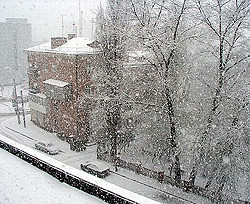 Киев заметет мокрым снегом 