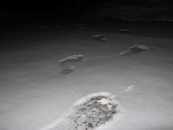 На 8 Марта в Днепропетровске погода «подарила» женщинам снег и 5-градусный мороз! 