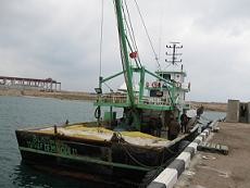 Чертову дюжину турецких браконьеров задержали пограничники 