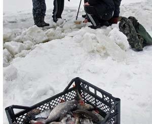Последствия массовой гибели рыбы в Киевском водохранилище: Теперь в наших кранах течет вода из Десны 