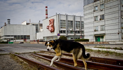 Припять: мертвый город превратят в аттракцион для туристов 