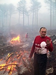Лесники приглашают крымчан помочь Ялтинскому заповеднику 