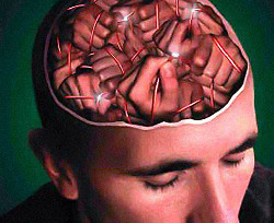 Ученые разгадали, как становятся шизофрениками 