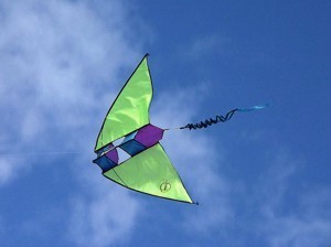 Артековцы выпустили 150 змеев  