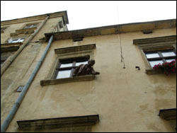 Немцы научат реставрировать старые окна   