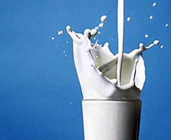 В Украине увеличился на 50% экспорт молочной продукции  