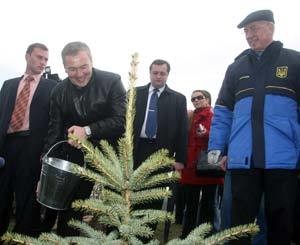 Азаров сажал елки, а Янукович - дубы 