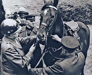 Получив «Виллис» от американского генерала Брэдли, маршал Конев подарил ему коня-дончака  