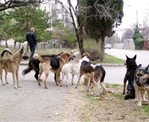 Олег Бережной: 