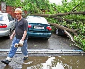 Ураган ломал деревья и крушил автомобили [ФОТО+ВИДЕО]
