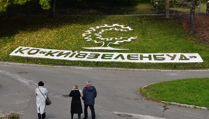 В Киеве открылась ежегодная выставка хризантем