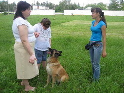 Собака-спасатель из Павлограда лечит детей 