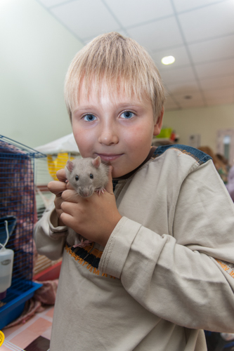 В Одессе выбрали самую красивую крысу. 