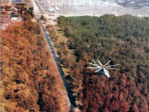 В Чернобыльском лесу потерялась пятилетняя девочка