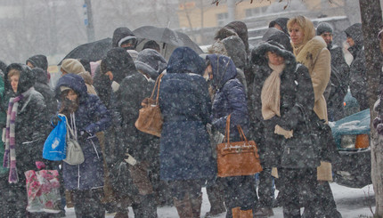 Киев укрыло снегом