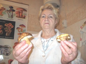 В Крыму на стихийных рынках появились поганки 