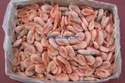 Дары моря, которыми торгуют в Ялте, грозятся поливать хлоркой