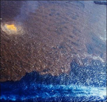 Новую утечку нефти в Мексиканском заливе списали на природу
