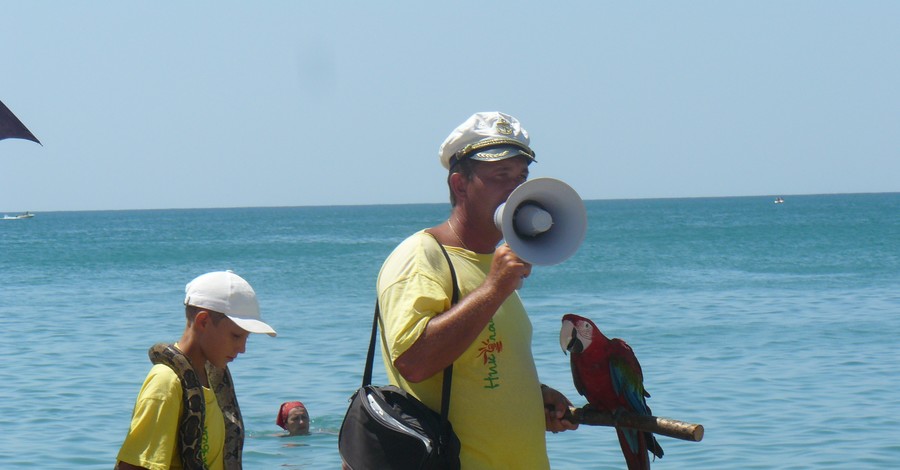 Фотографы разбивают носы совам и спаивают енотов