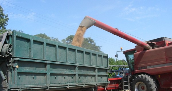Хлеб подорожает. Без вариантов