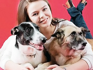 Алину Гросу устроила свадьбу для бездомных собак