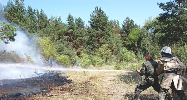 В области сгорело уже 100 гектаров леса