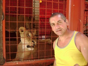  В Симферополе львы понимают только французский 