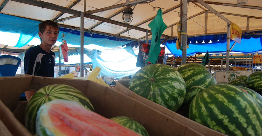 Самая опасная бахча – у дороги и нарезанная  