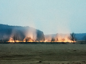 Торфяные пожары взяли Киевщину в кольцо