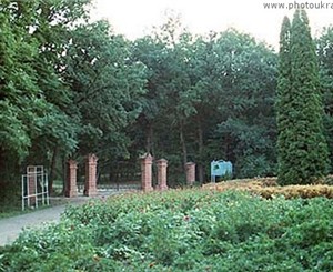 Во всех крымских лесах будут создавать дендропарки