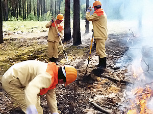 Киевские леса и парки готовят к пожарам