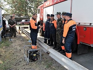 В пожарах под Новомосковском виноваты лесники