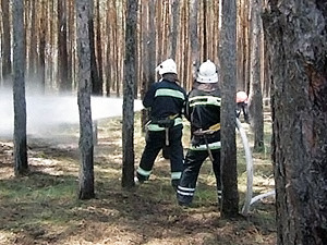 В Харькове объявлен предельный уровень пожароопасности