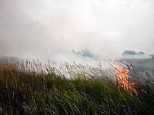 В Черниговской области загорелся очередной торфяник: пожар охватил 25 гектаров