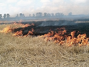 В Крыму горят степи