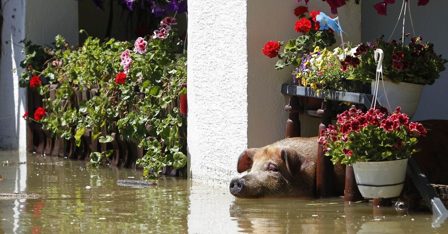 Боснию заливает