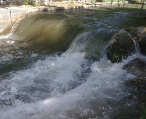 Самую большую реку Симферополя будут регулярно чистить 