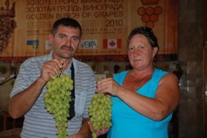 Джанкойская семья фермеров вырастила самый вкусный виноград в СНГ