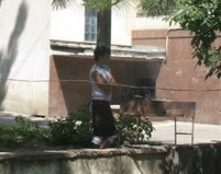 Симферопольцы вместо леса идут на шашлычки под окна мэра [Фото]