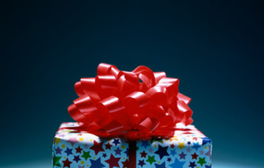 В Севастополе зарабатывают на собачьих фекалиях 