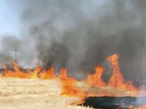 На Луганщине масштабный степной пожар тушили с вертолета