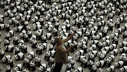 Аэропорт Гонконга захвачен пандами