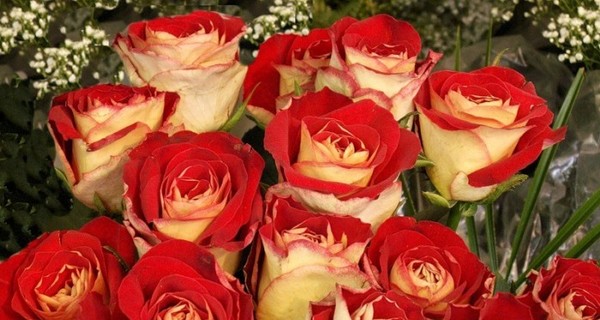 В Эквадоре продают съедобные розы